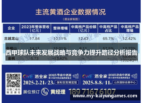 西甲球队未来发展战略与竞争力提升路径分析报告 西甲球队未来发展战略与竞争力提升路径分析报告